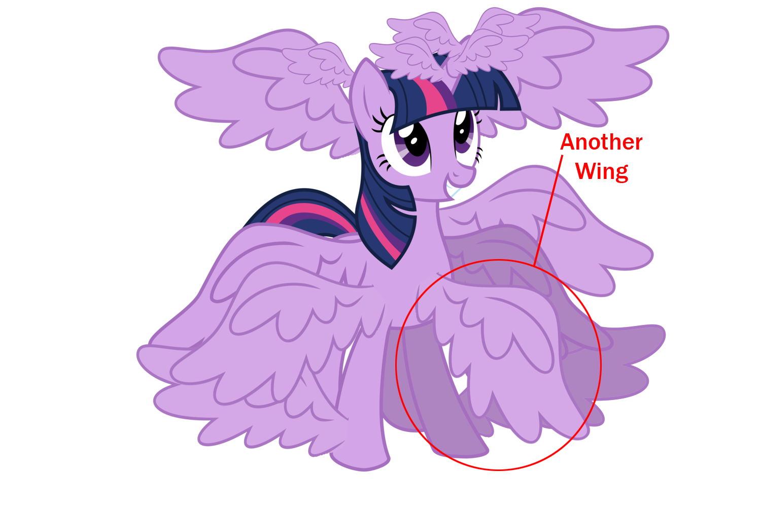 twilight-multywings